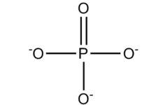 Alendronate EP Impurity B